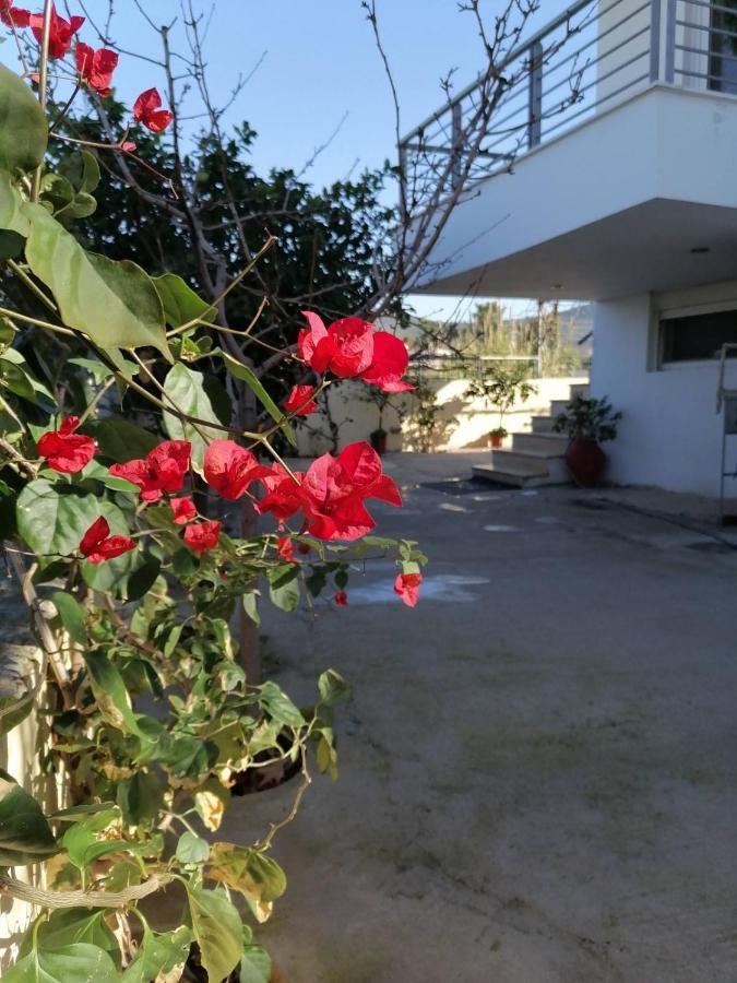 Villa Homey Family Artaki