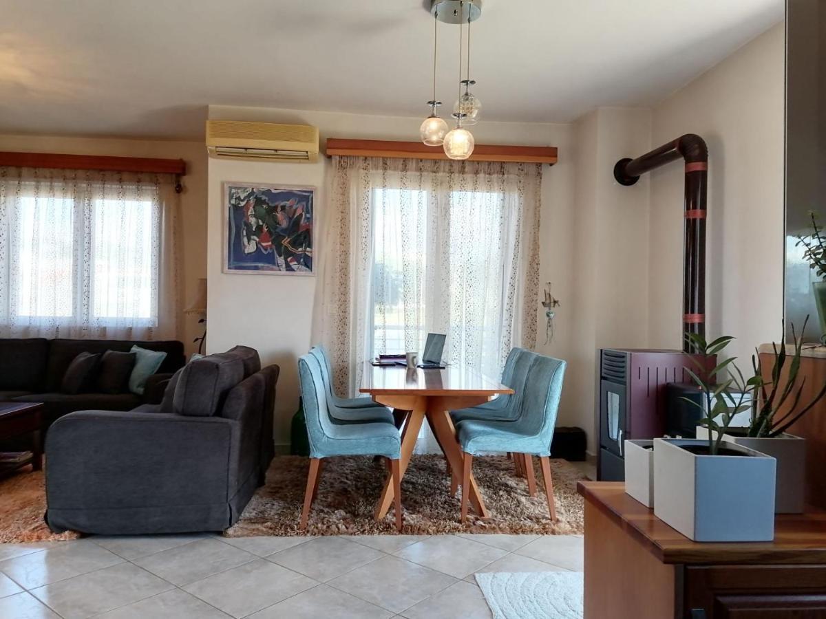 Homey Family Artaki Villa *