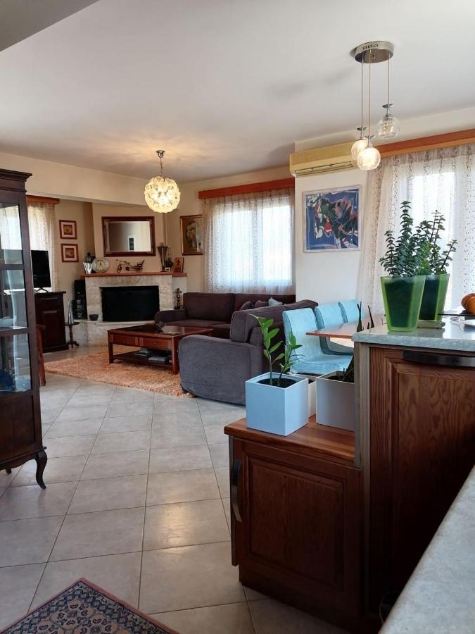 Villa Homey Family Artaki *