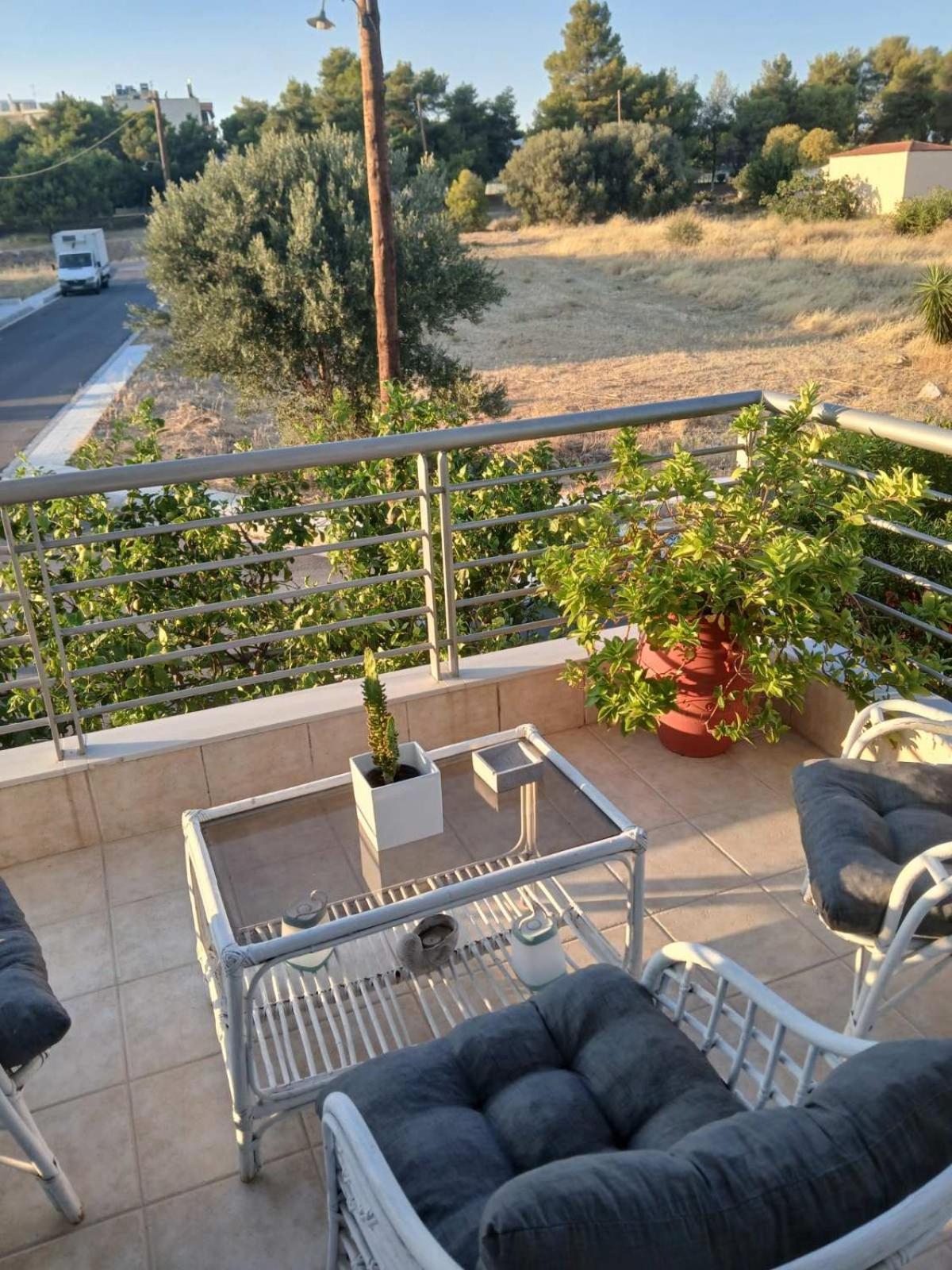 Homey Family Artaki Villa Nea Artaki